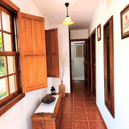 Neólida